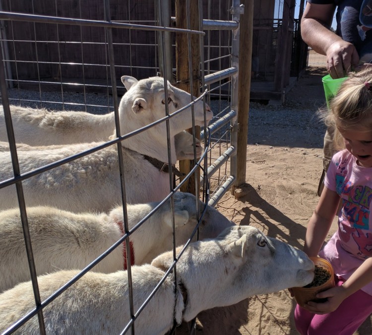 Hesperia Zoo By reservation only (Hesperia,&nbspCA)
